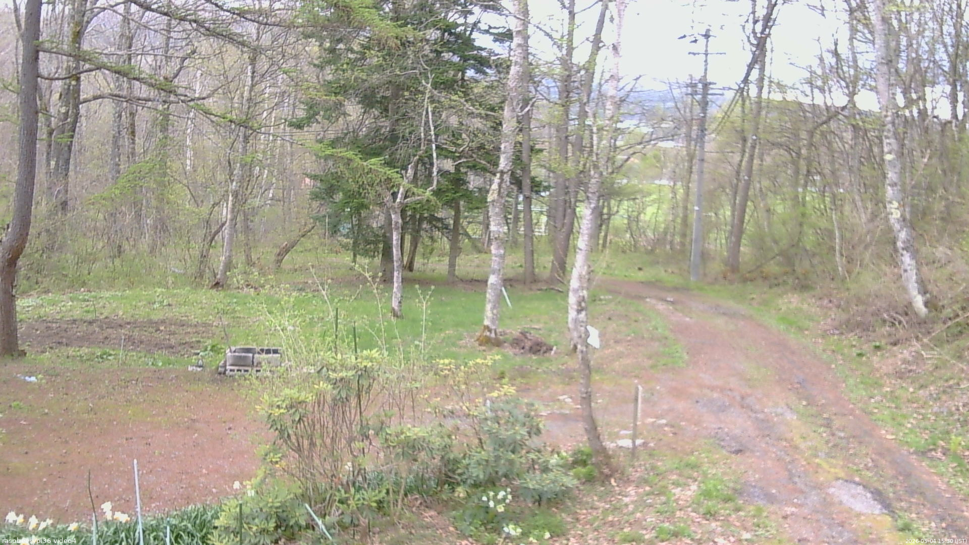 長野県菅平高原 ゆたか山荘 坂上 2026/05/04 15:30