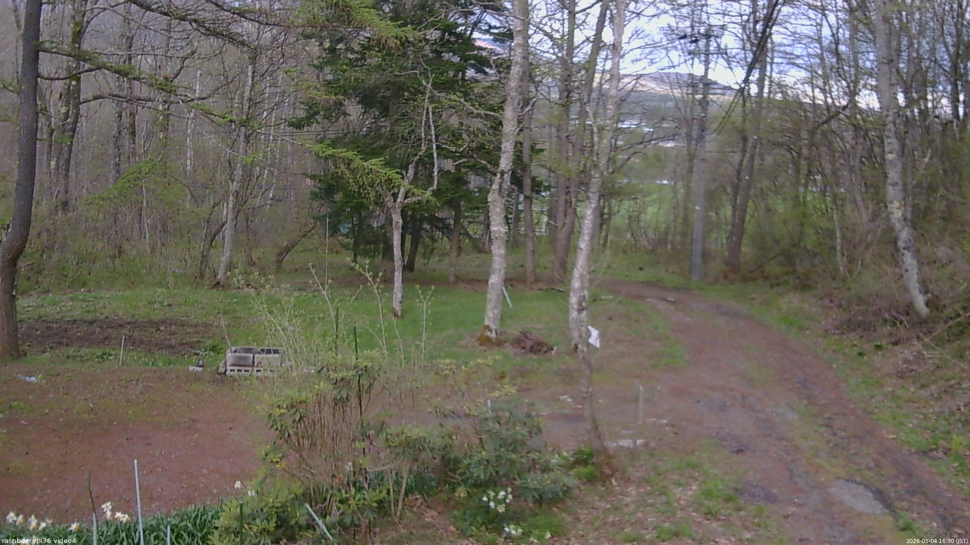長野県菅平高原 ゆたか山荘 坂上 2026/05/04 16:30