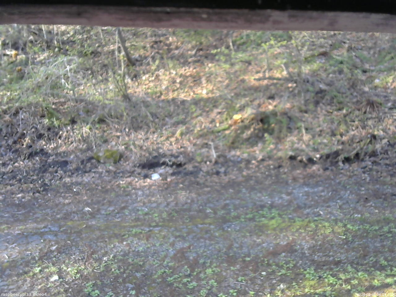 長野県菅平高原 ゆたか山荘 東側(坂下) 2026/05/05 06:15