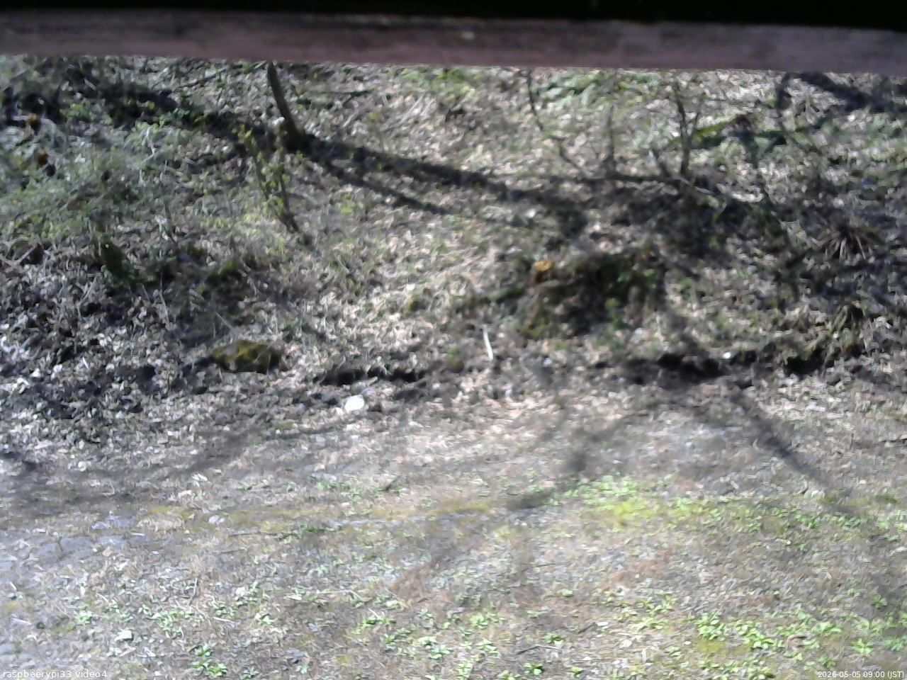 長野県菅平高原 ゆたか山荘 東側(坂下) 2026/05/05 09:00