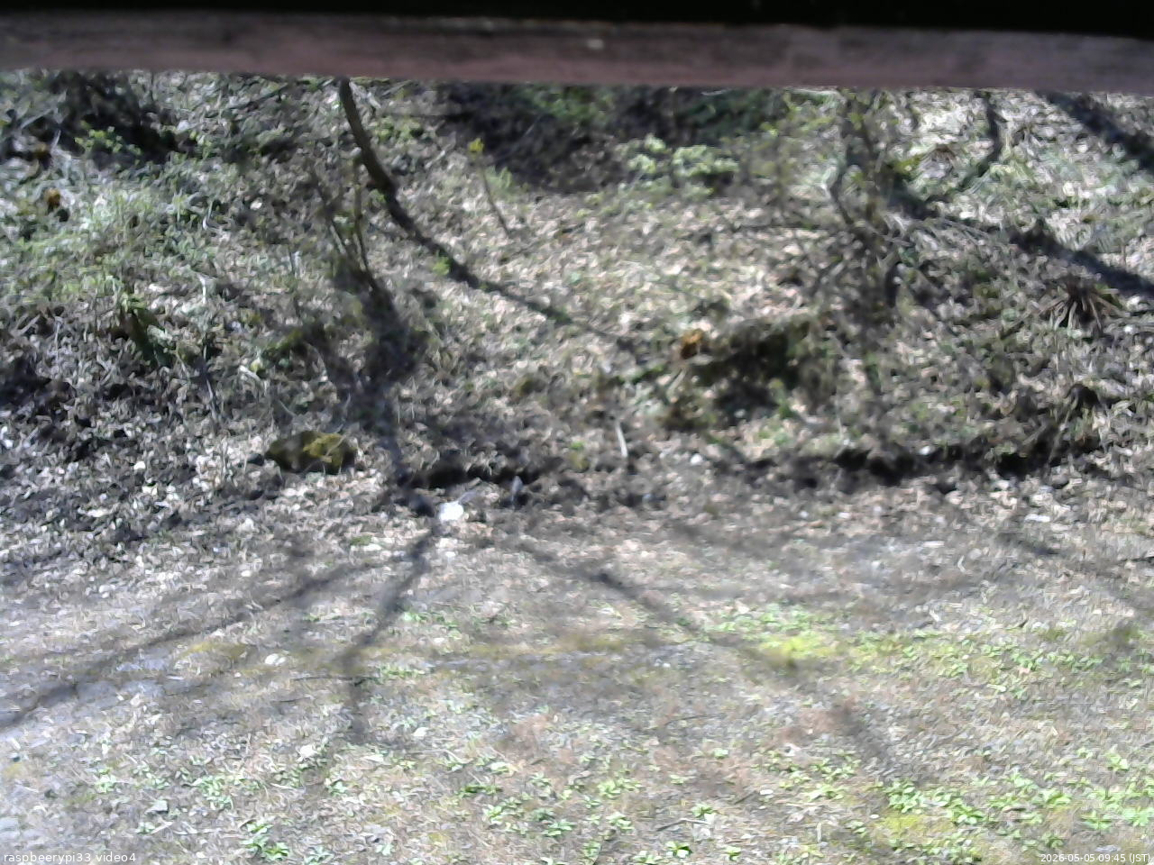 長野県菅平高原 ゆたか山荘 東側(坂下) 2026/05/05 09:45