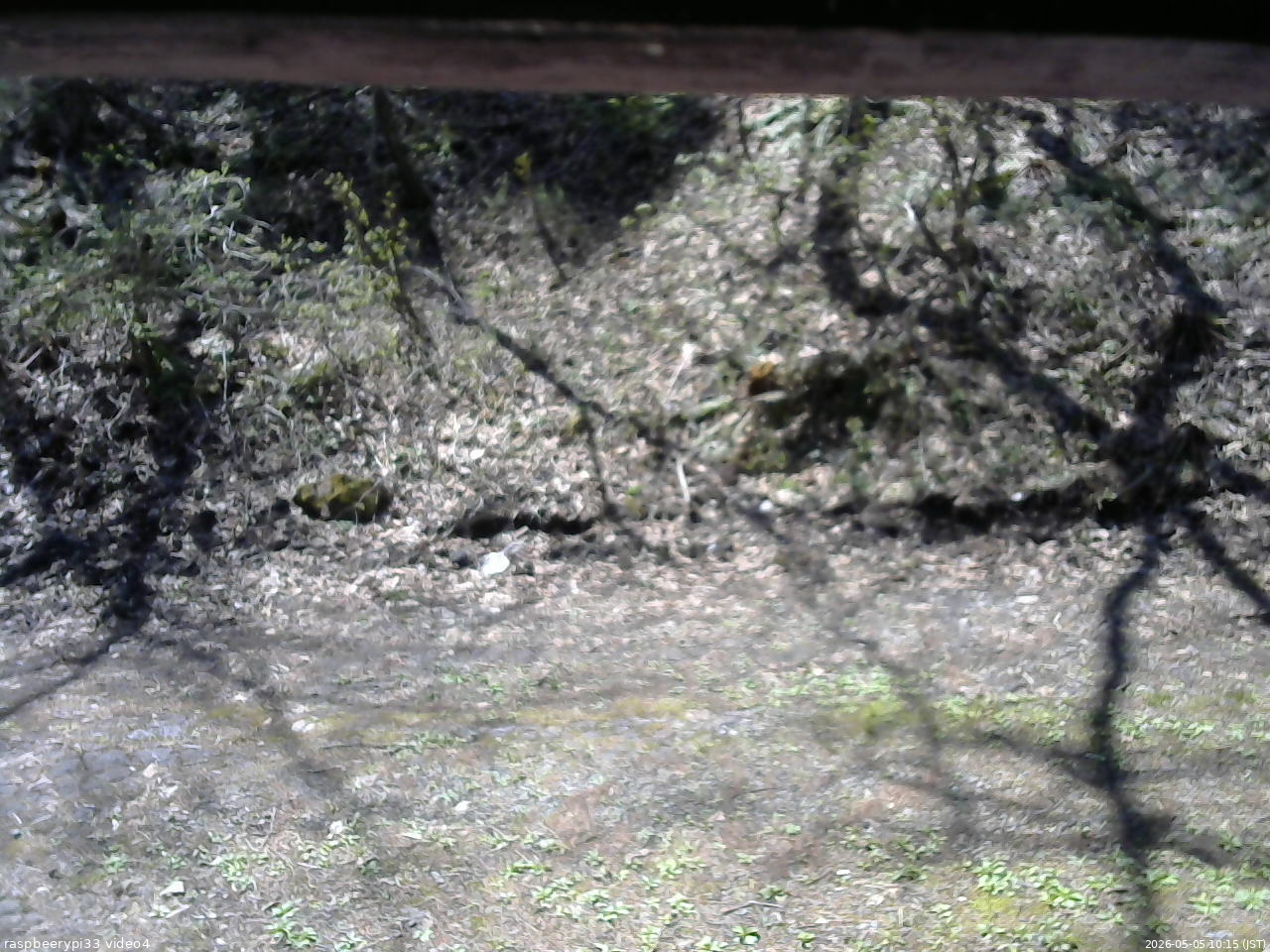 長野県菅平高原 ゆたか山荘 東側(坂下) 2026/05/05 10:15