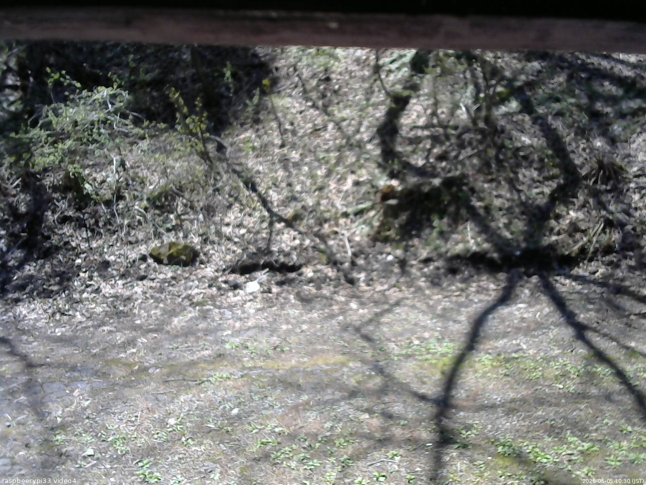 長野県菅平高原 ゆたか山荘 東側(坂下) 2026/05/05 10:30