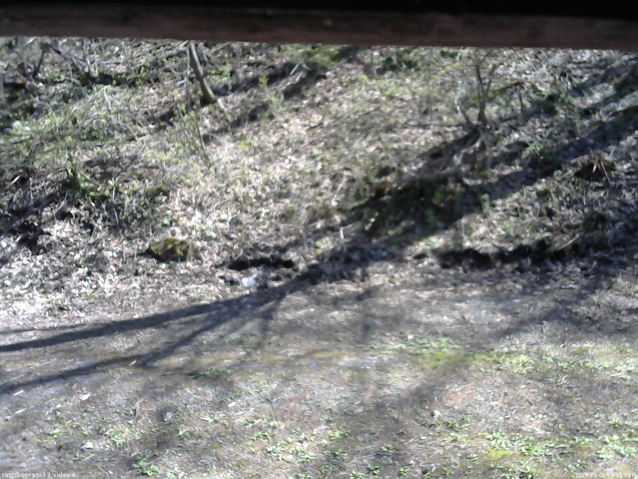長野県菅平高原 ゆたか山荘 東側(坂下) 2026/05/05 14:15