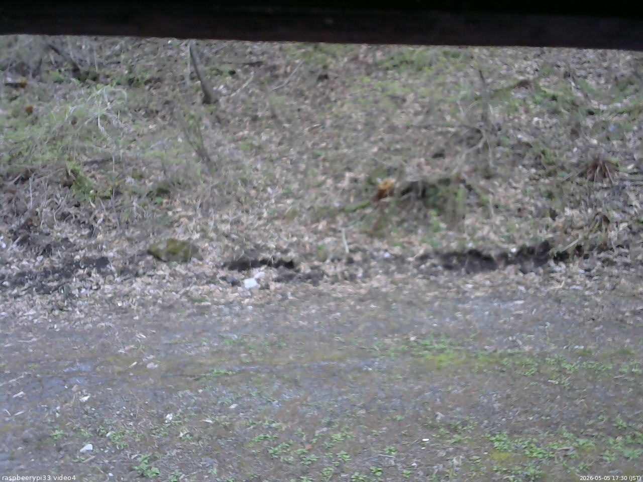 長野県菅平高原 ゆたか山荘 東側(坂下) 2026/05/05 17:30