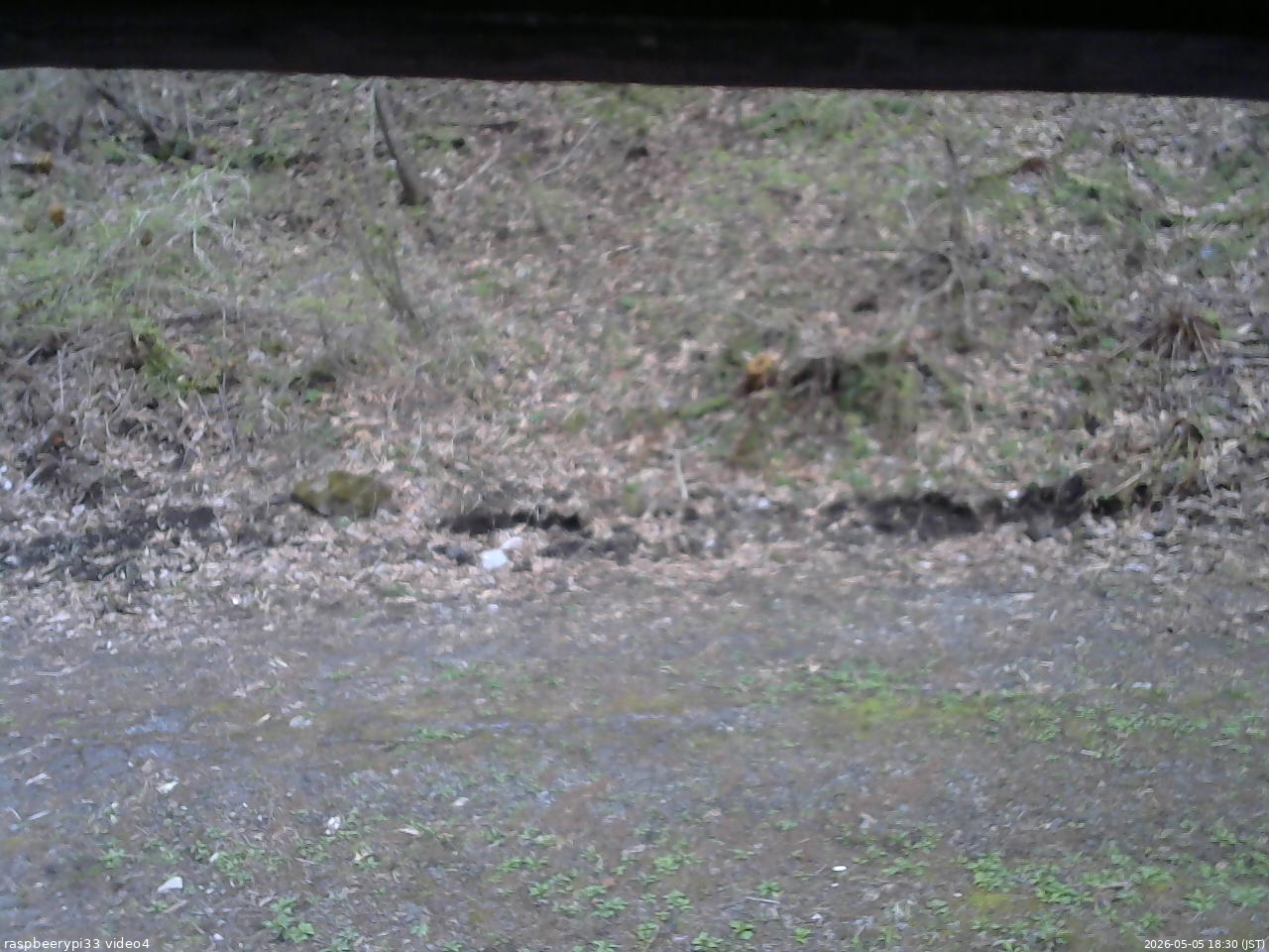 長野県菅平高原 ゆたか山荘 東側(坂下) 2026/05/05 18:30