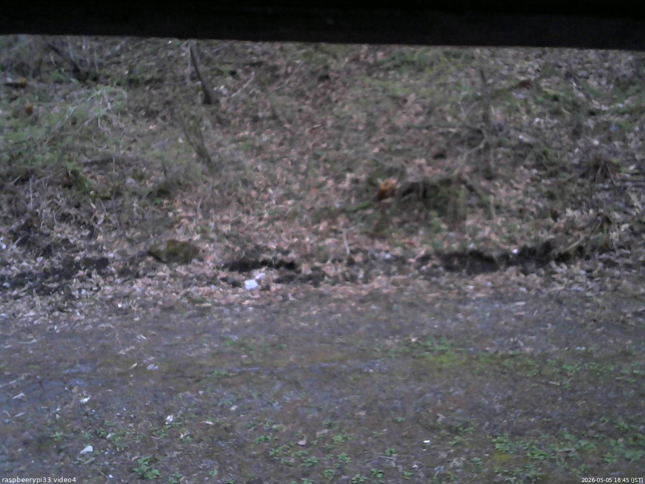 長野県菅平高原 ゆたか山荘 東側(坂下) 2026/05/05 18:45