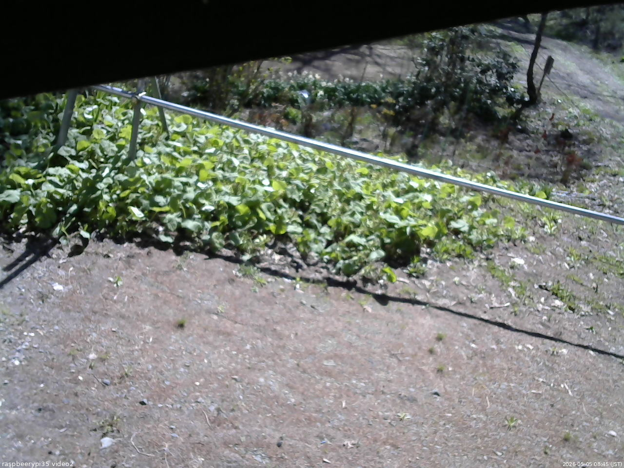 長野県菅平高原 ゆたか山荘 駐車場 2026/05/05 08:45
