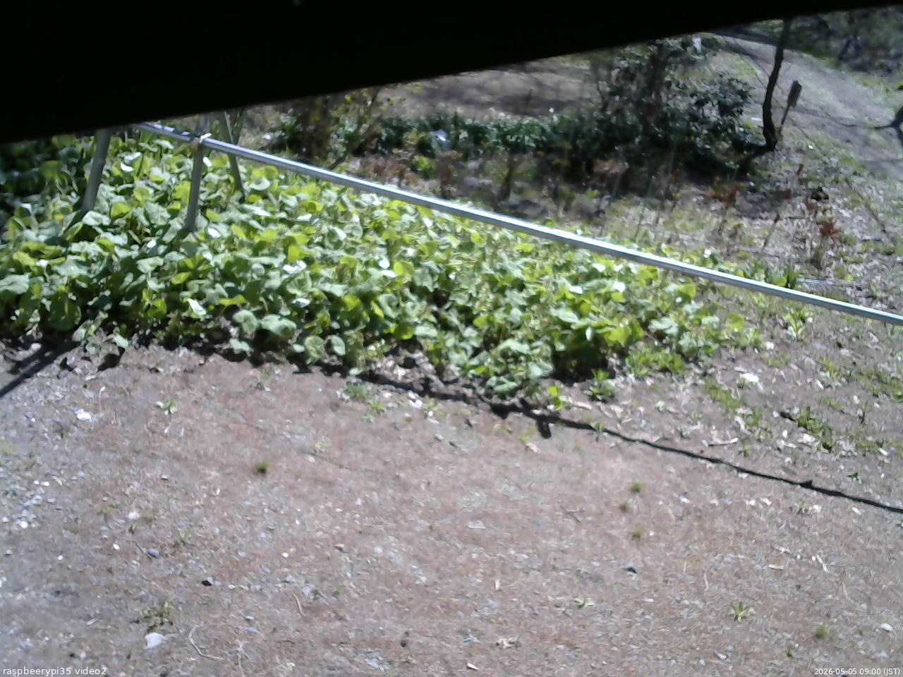 長野県菅平高原 ゆたか山荘 駐車場 2026/05/05 09:00