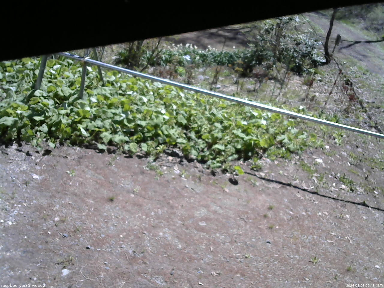 長野県菅平高原 ゆたか山荘 駐車場 2026/05/05 09:45