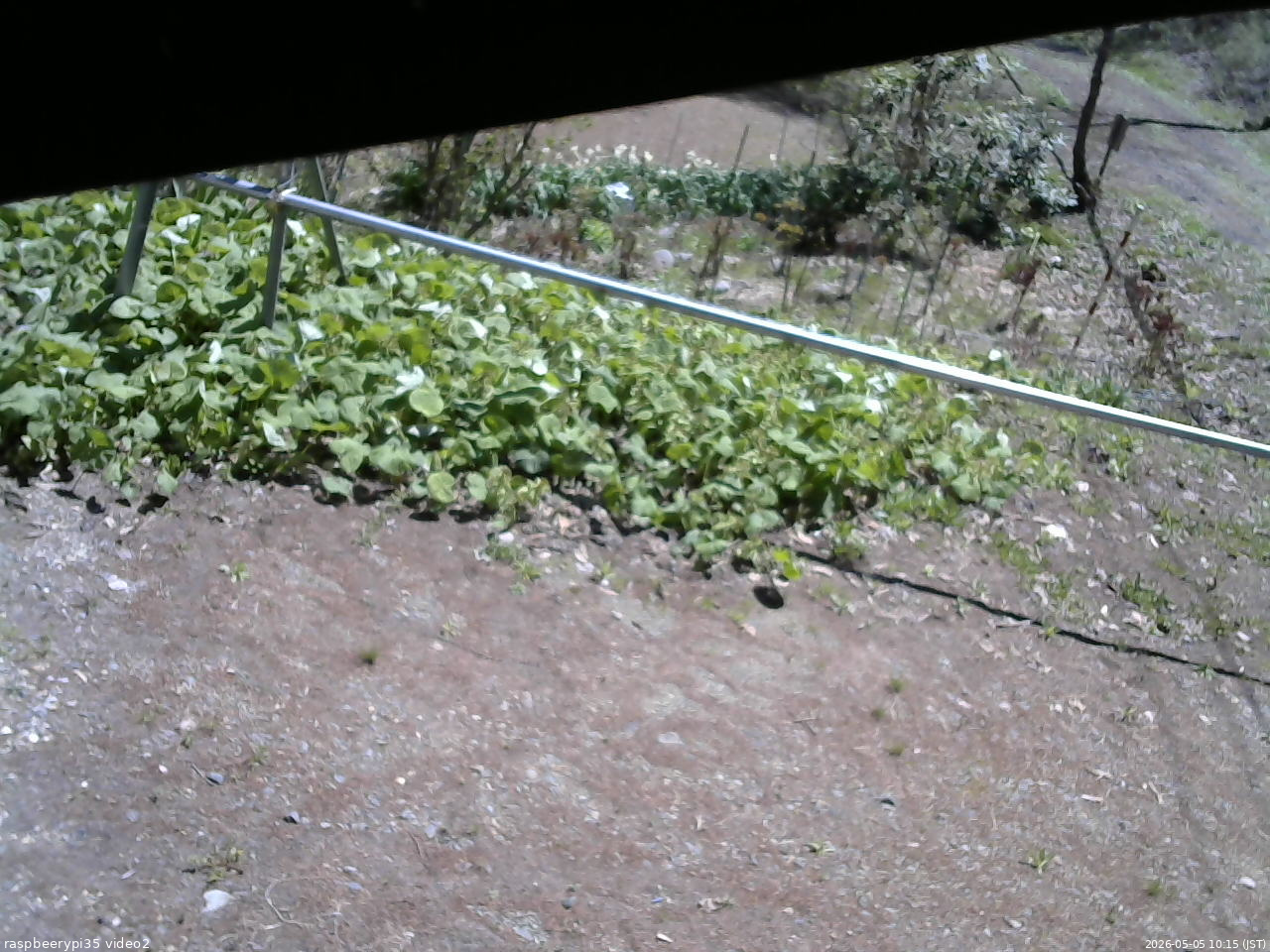 長野県菅平高原 ゆたか山荘 駐車場 2026/05/05 10:15