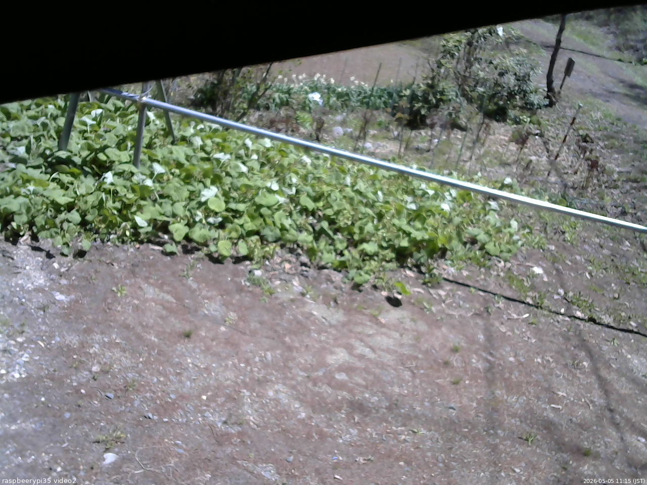 長野県菅平高原 ゆたか山荘 駐車場 2026/05/05 11:15