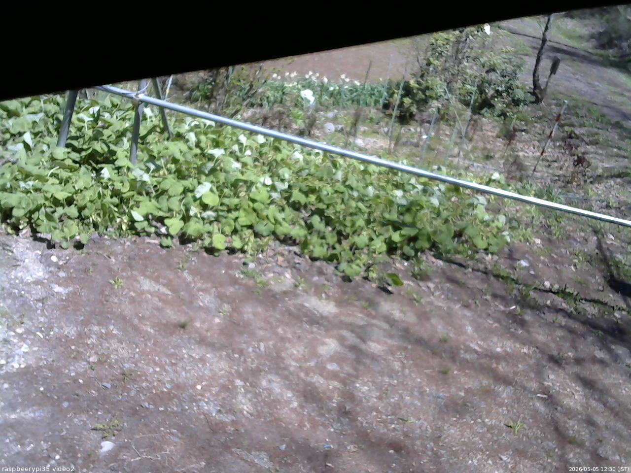 長野県菅平高原 ゆたか山荘 駐車場 2026/05/05 12:30