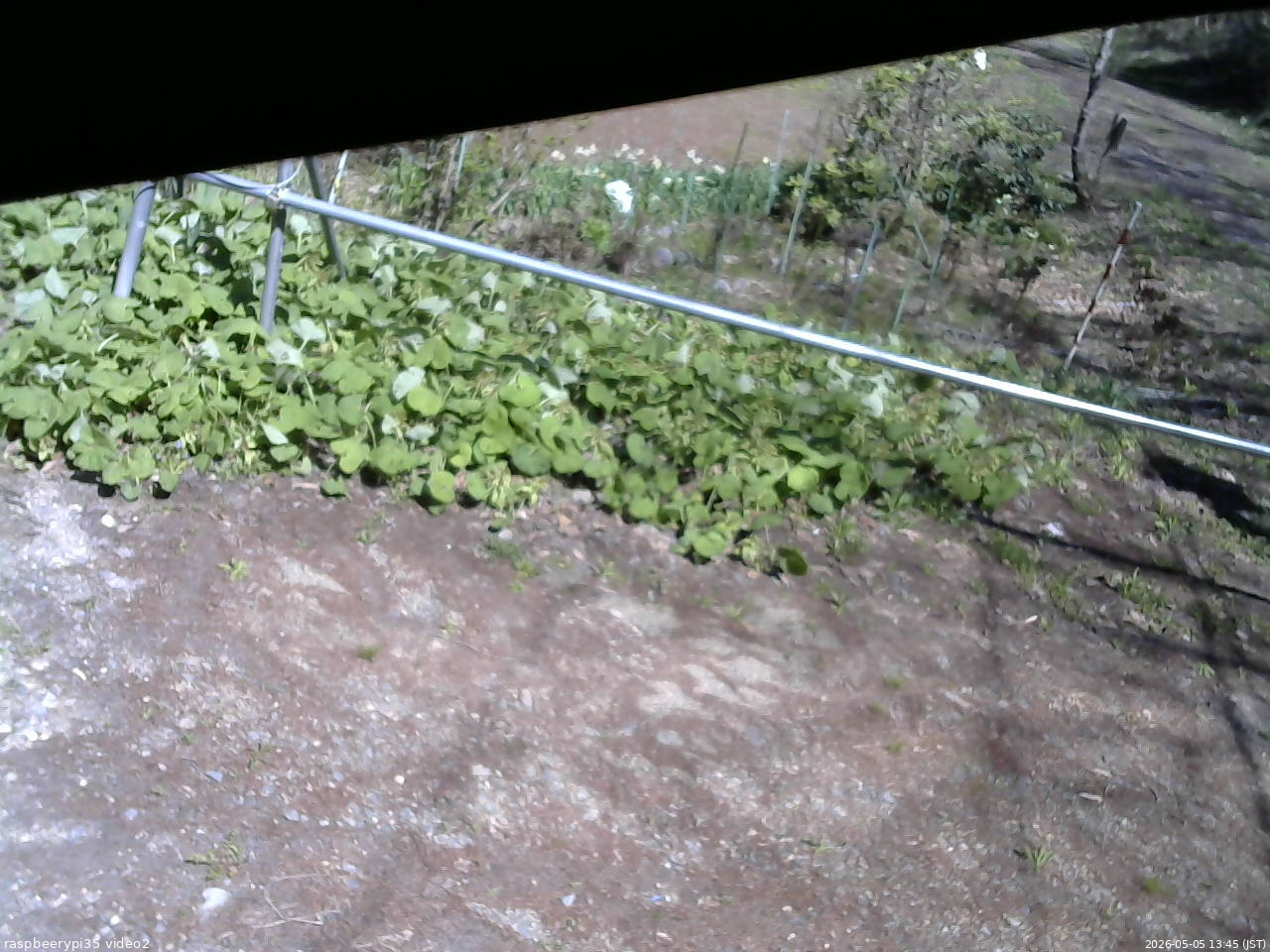 長野県菅平高原 ゆたか山荘 駐車場 2026/05/05 13:45