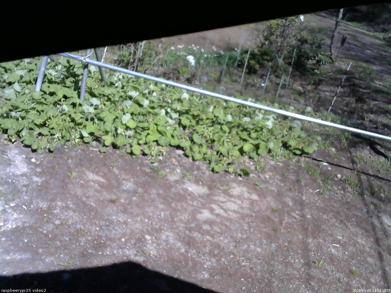 長野県菅平高原 ゆたか山荘 駐車場 2026/05/05 14:15