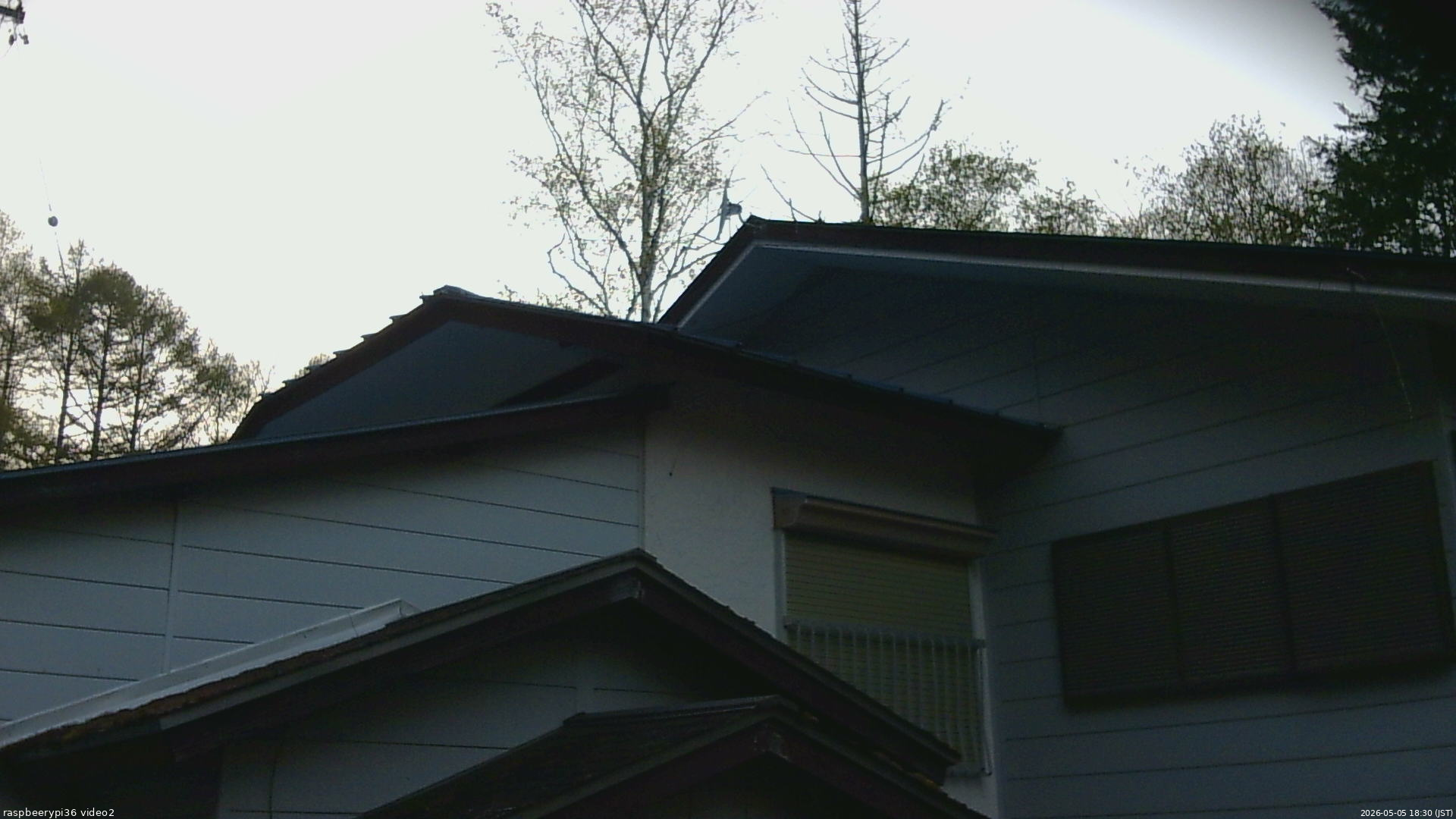 長野県菅平高原 ゆたか山荘 駐車場奥 2026/05/05 18:30