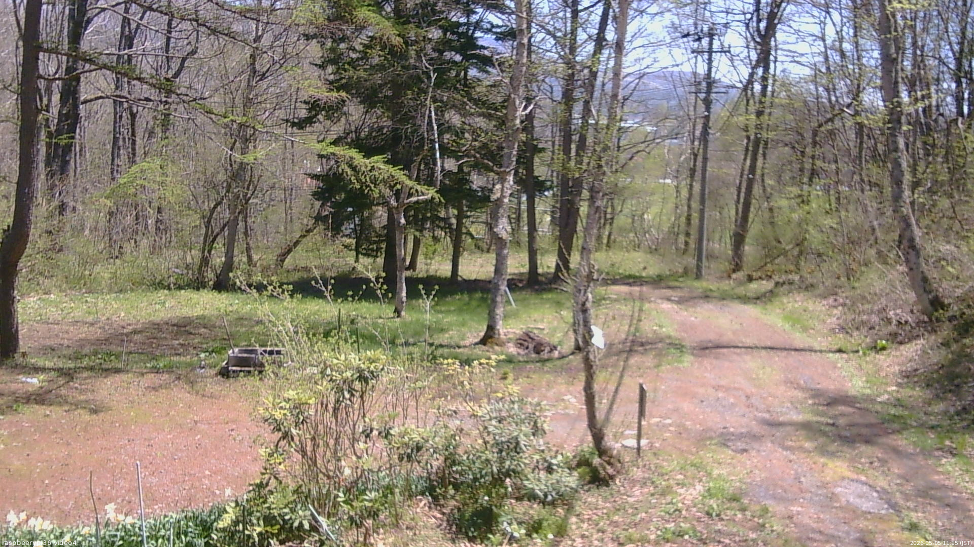 長野県菅平高原 ゆたか山荘 坂上 2026/05/05 11:15