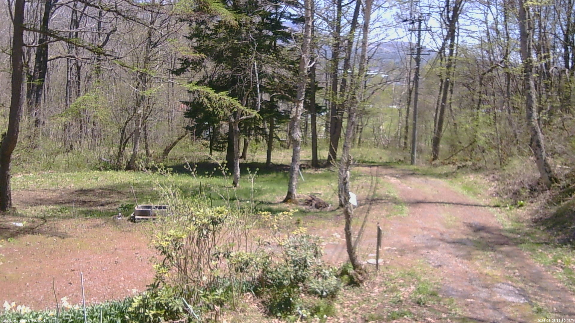 長野県菅平高原 ゆたか山荘 坂上 2026/05/05 11:30