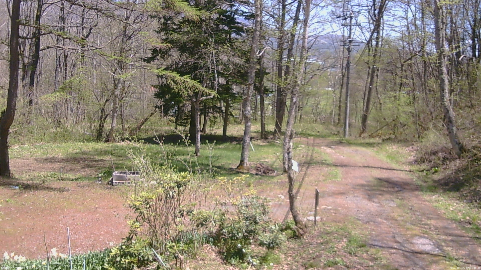 長野県菅平高原 ゆたか山荘 坂上 2026/05/05 12:00