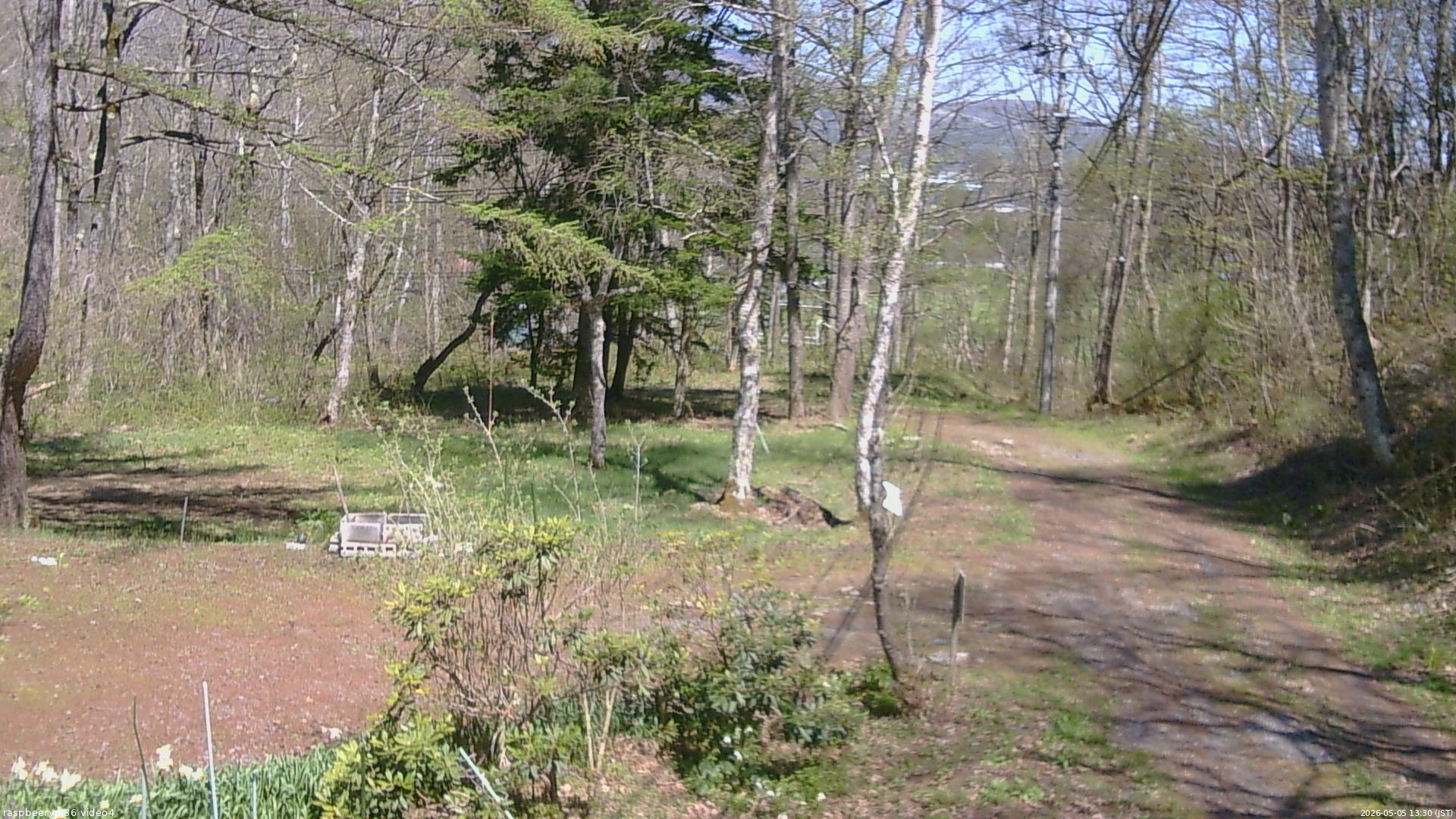 長野県菅平高原 ゆたか山荘 坂上 2026/05/05 13:30