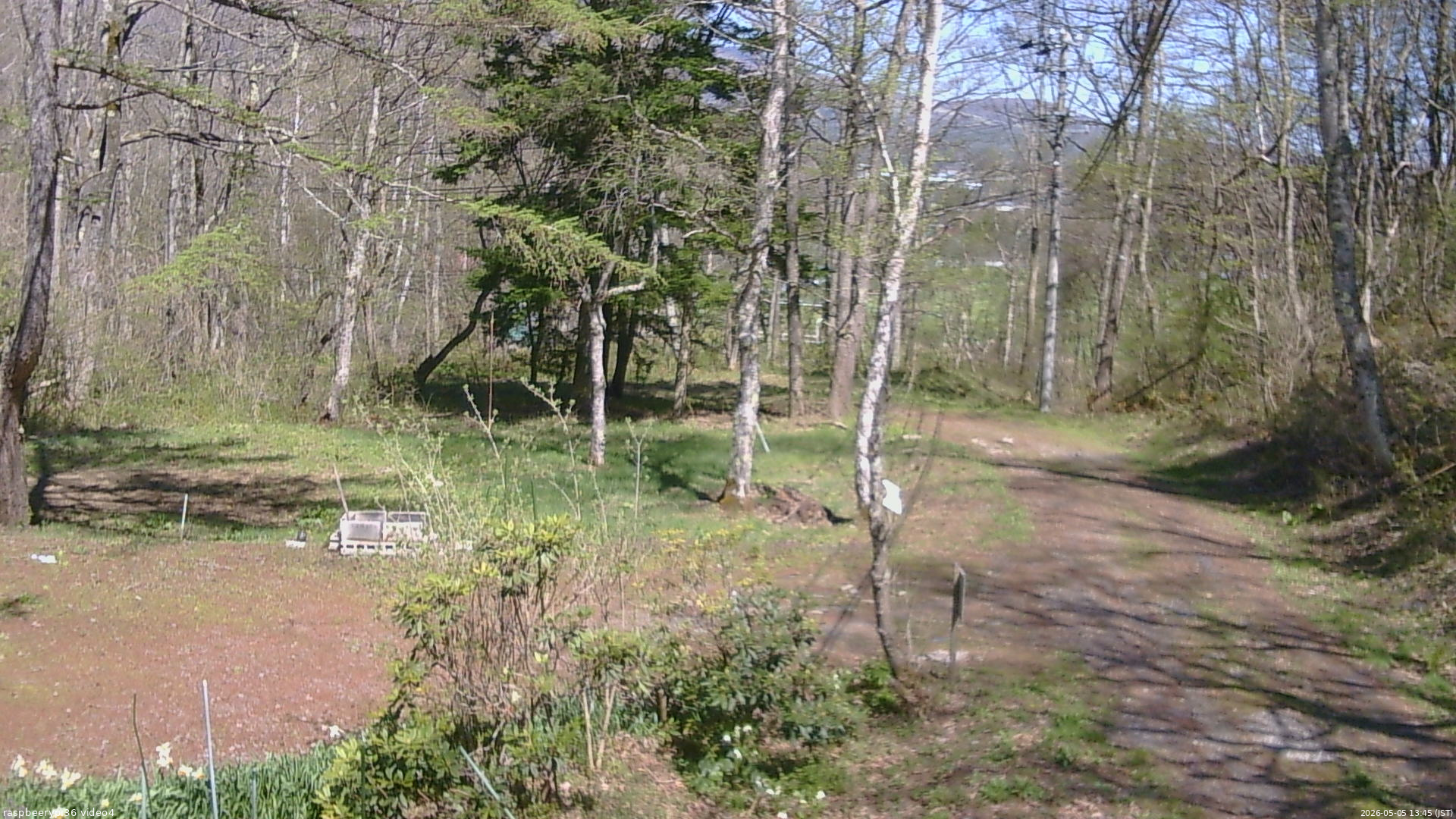 長野県菅平高原 ゆたか山荘 坂上 2026/05/05 13:45