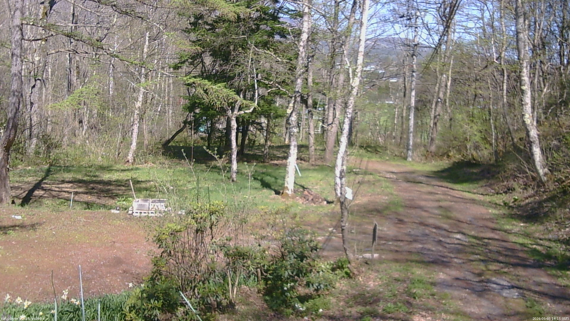 長野県菅平高原 ゆたか山荘 坂上 2026/05/05 14:15