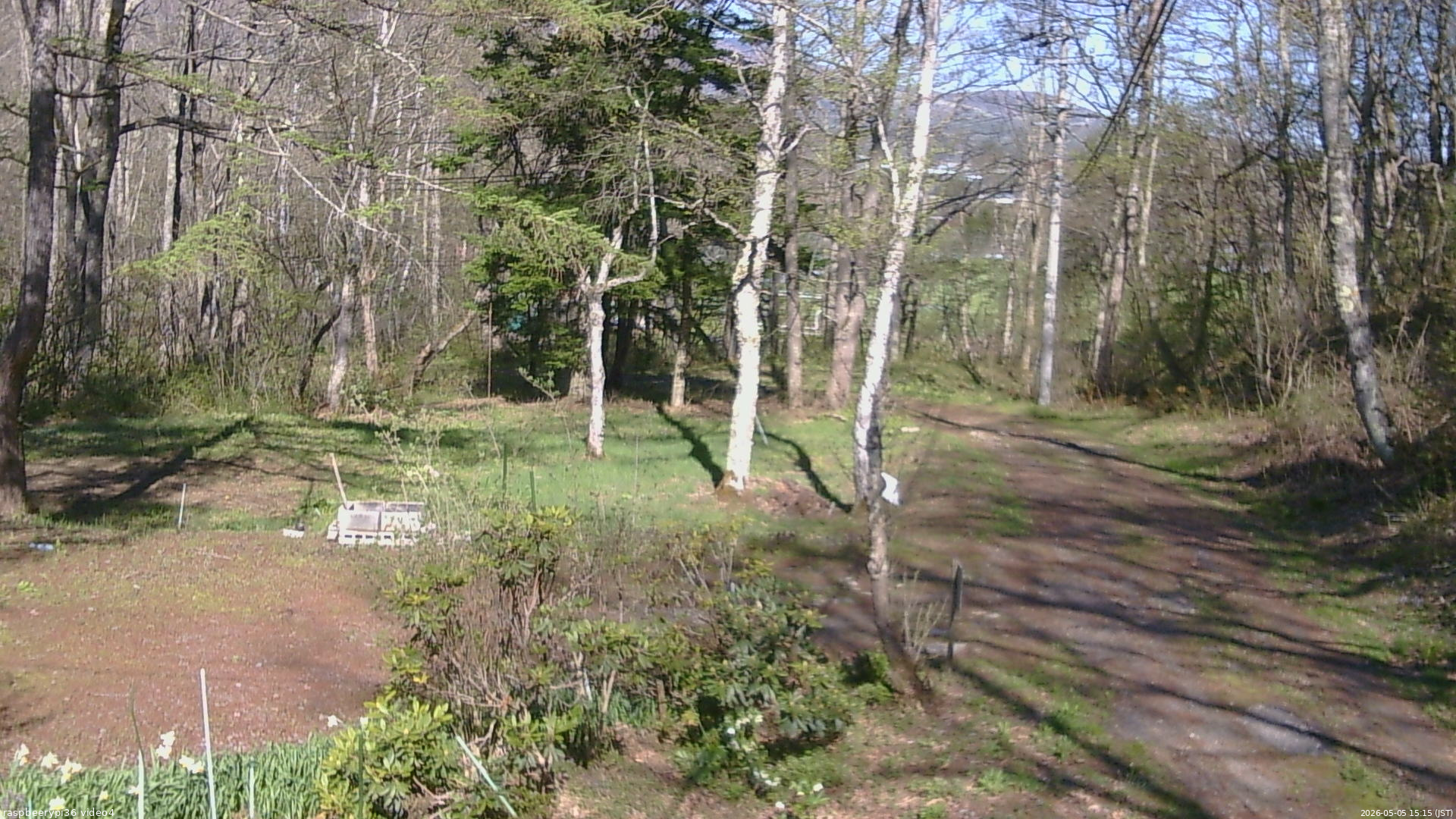 長野県菅平高原 ゆたか山荘 坂上 2026/05/05 15:15