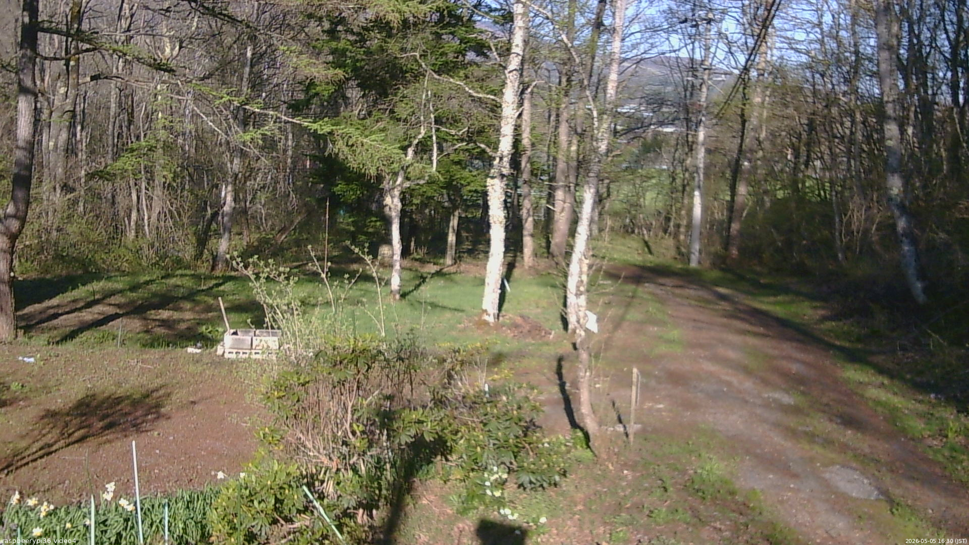 長野県菅平高原 ゆたか山荘 坂上 2026/05/05 16:30