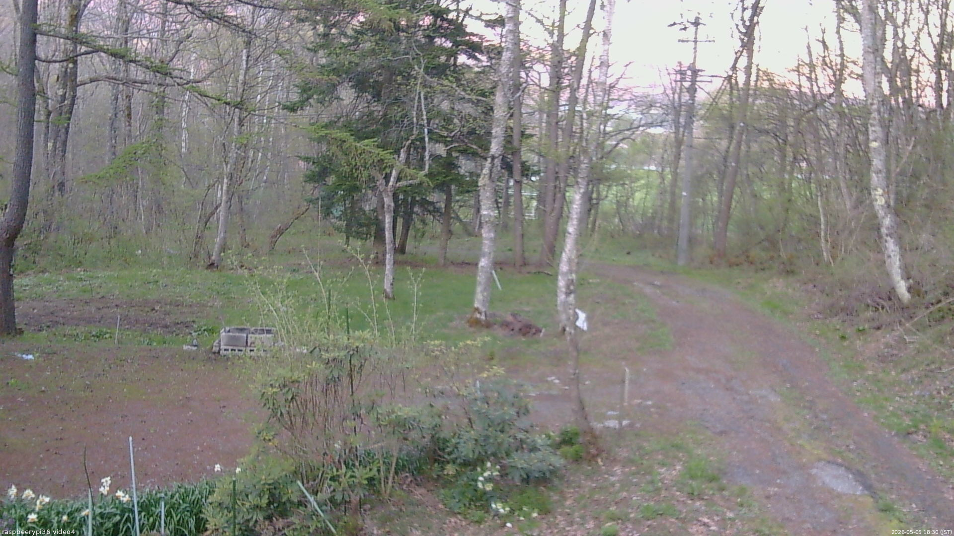 長野県菅平高原 ゆたか山荘 坂上 2026/05/05 18:30