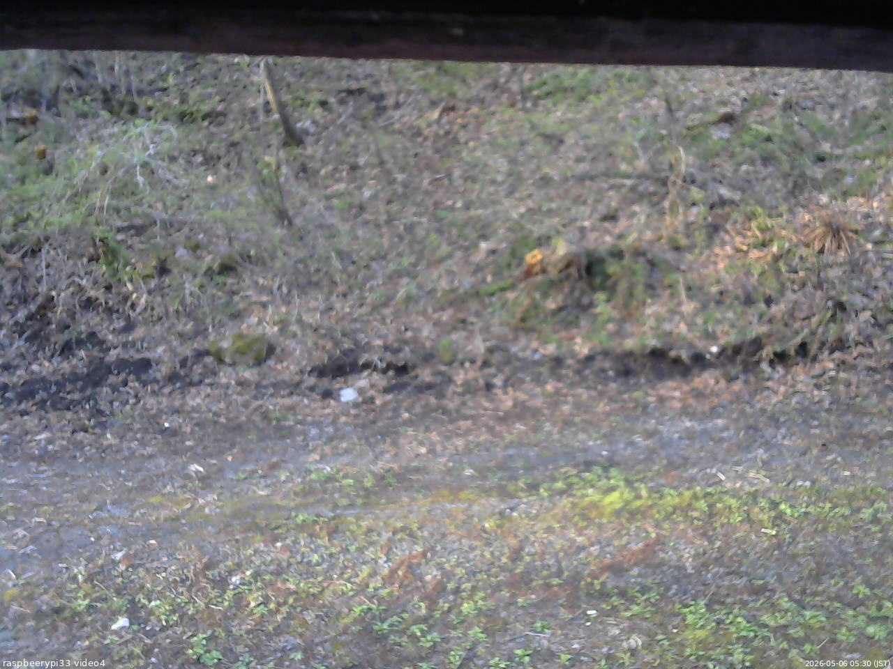 長野県菅平高原 ゆたか山荘 東側(坂下) 2026/05/06 05:30