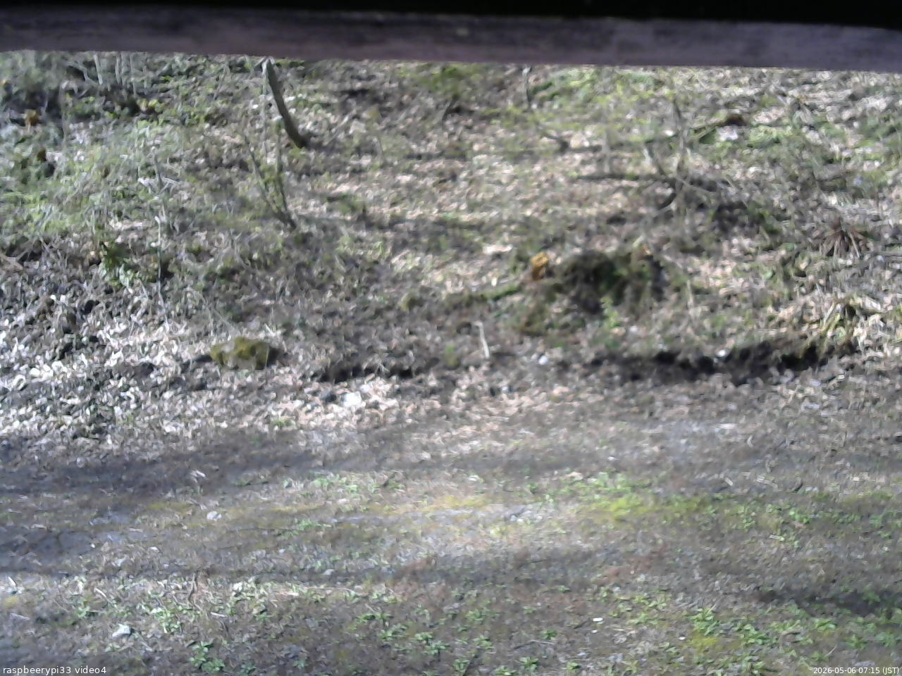 長野県菅平高原 ゆたか山荘 東側(坂下) 2026/05/06 07:15