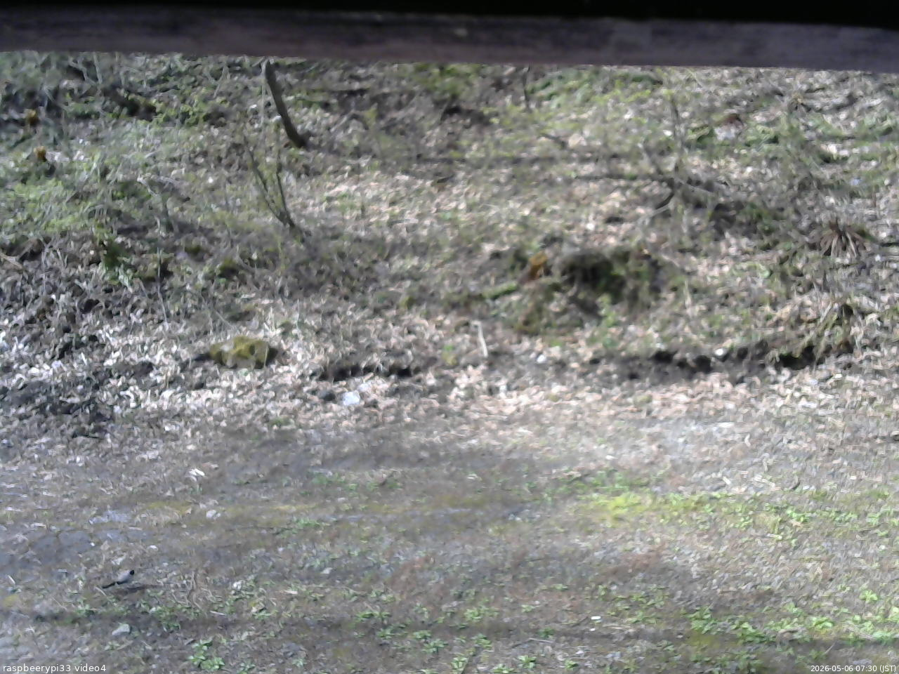 長野県菅平高原 ゆたか山荘 東側(坂下) 2026/05/06 07:30