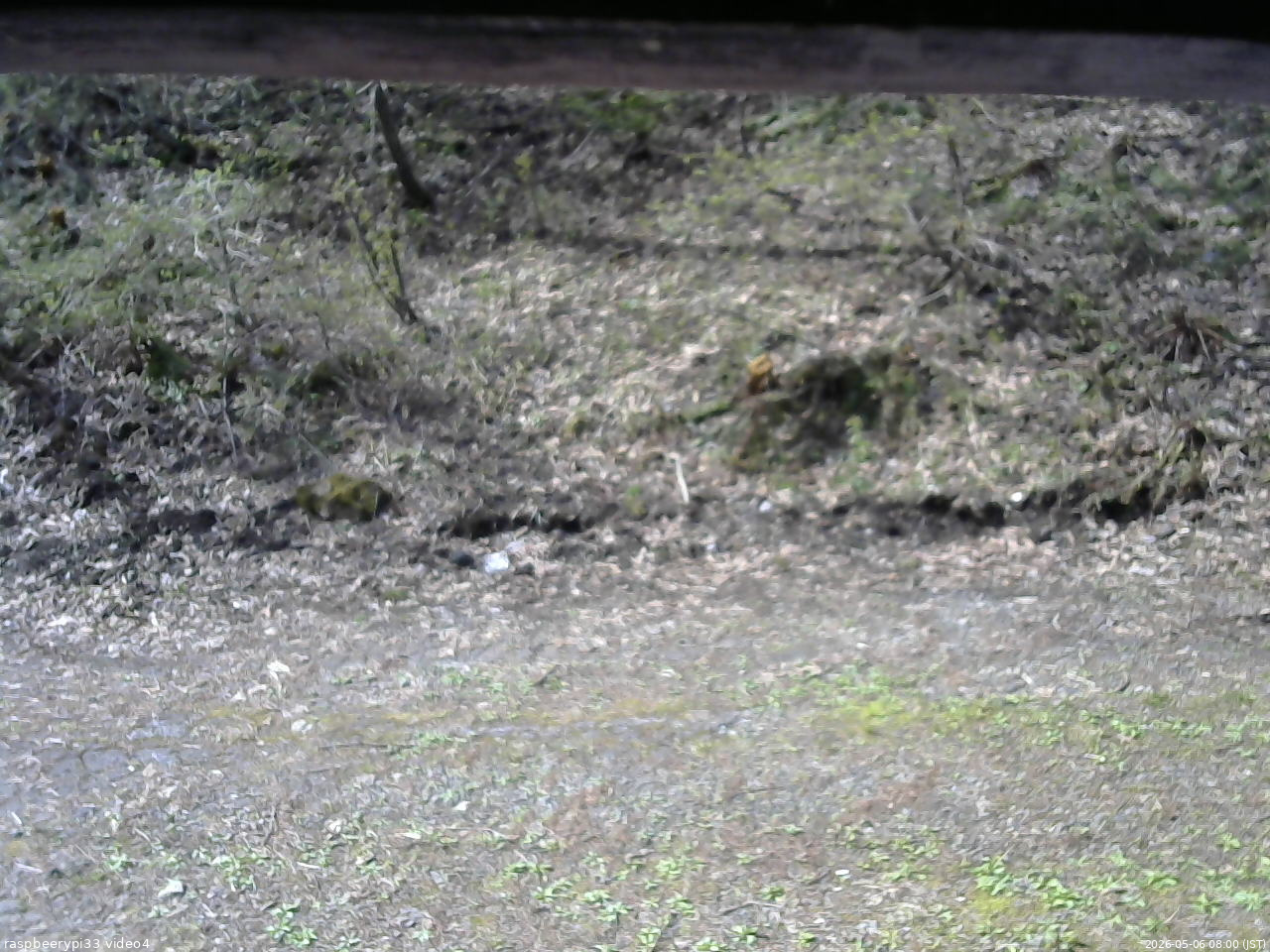 長野県菅平高原 ゆたか山荘 東側(坂下) 2026/05/06 08:00