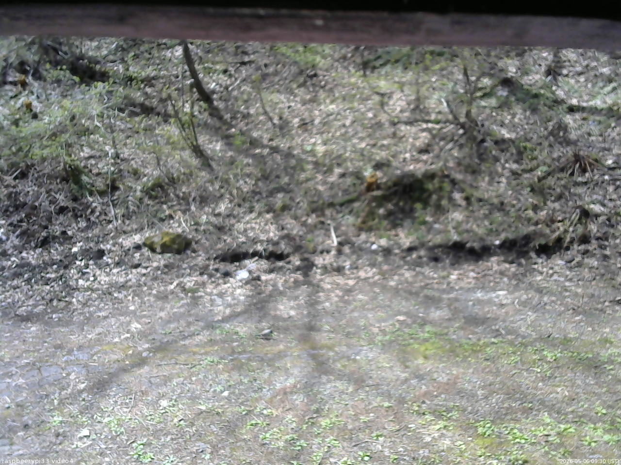 長野県菅平高原 ゆたか山荘 東側(坂下) 2026/05/06 09:30