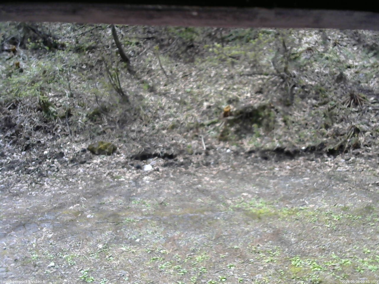 長野県菅平高原 ゆたか山荘 東側(坂下) 2026/05/06 09:45