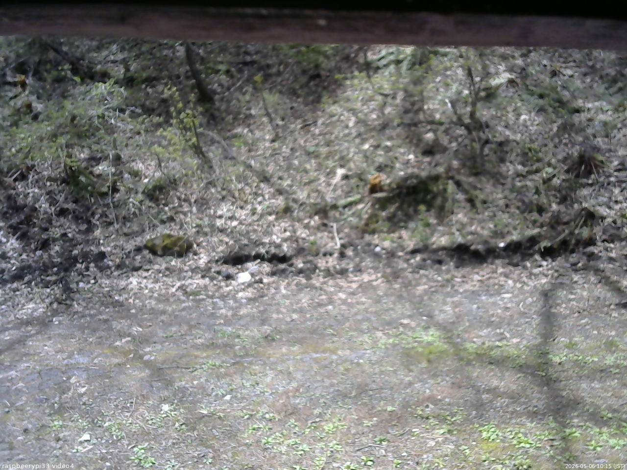 長野県菅平高原 ゆたか山荘 東側(坂下) 2026/05/06 10:15
