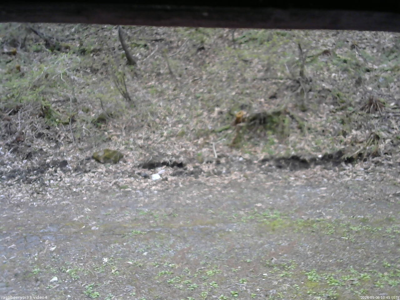 長野県菅平高原 ゆたか山荘 東側(坂下) 2026/05/06 10:45