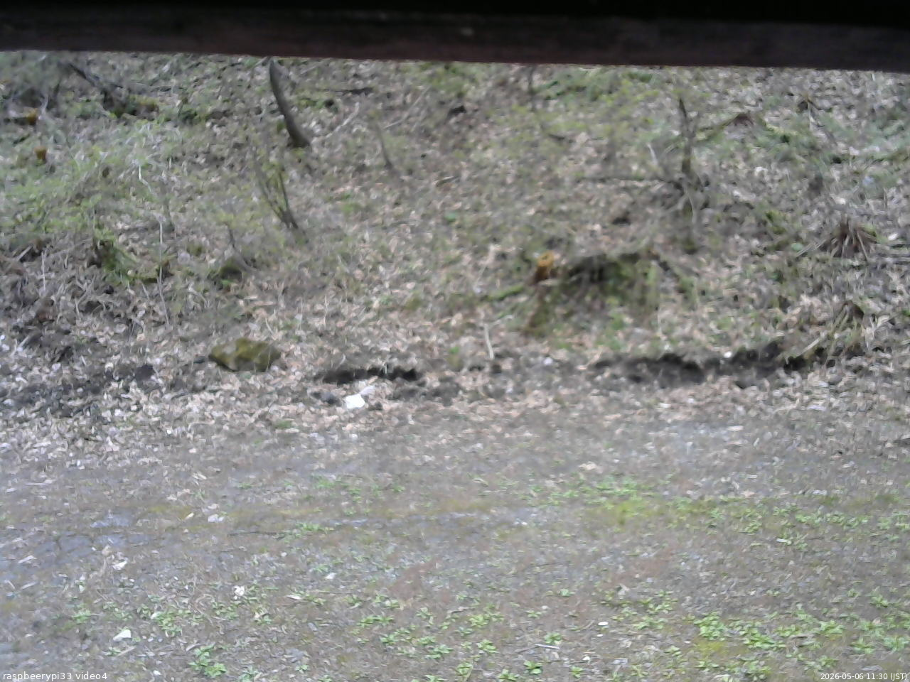 長野県菅平高原 ゆたか山荘 東側(坂下) 2026/05/06 11:30