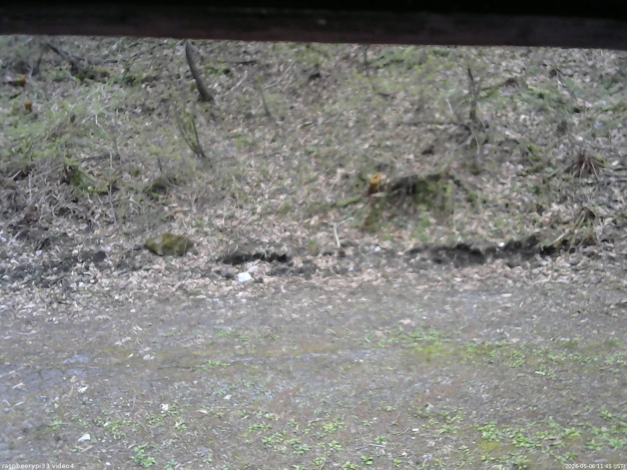 長野県菅平高原 ゆたか山荘 東側(坂下) 2026/05/06 11:45