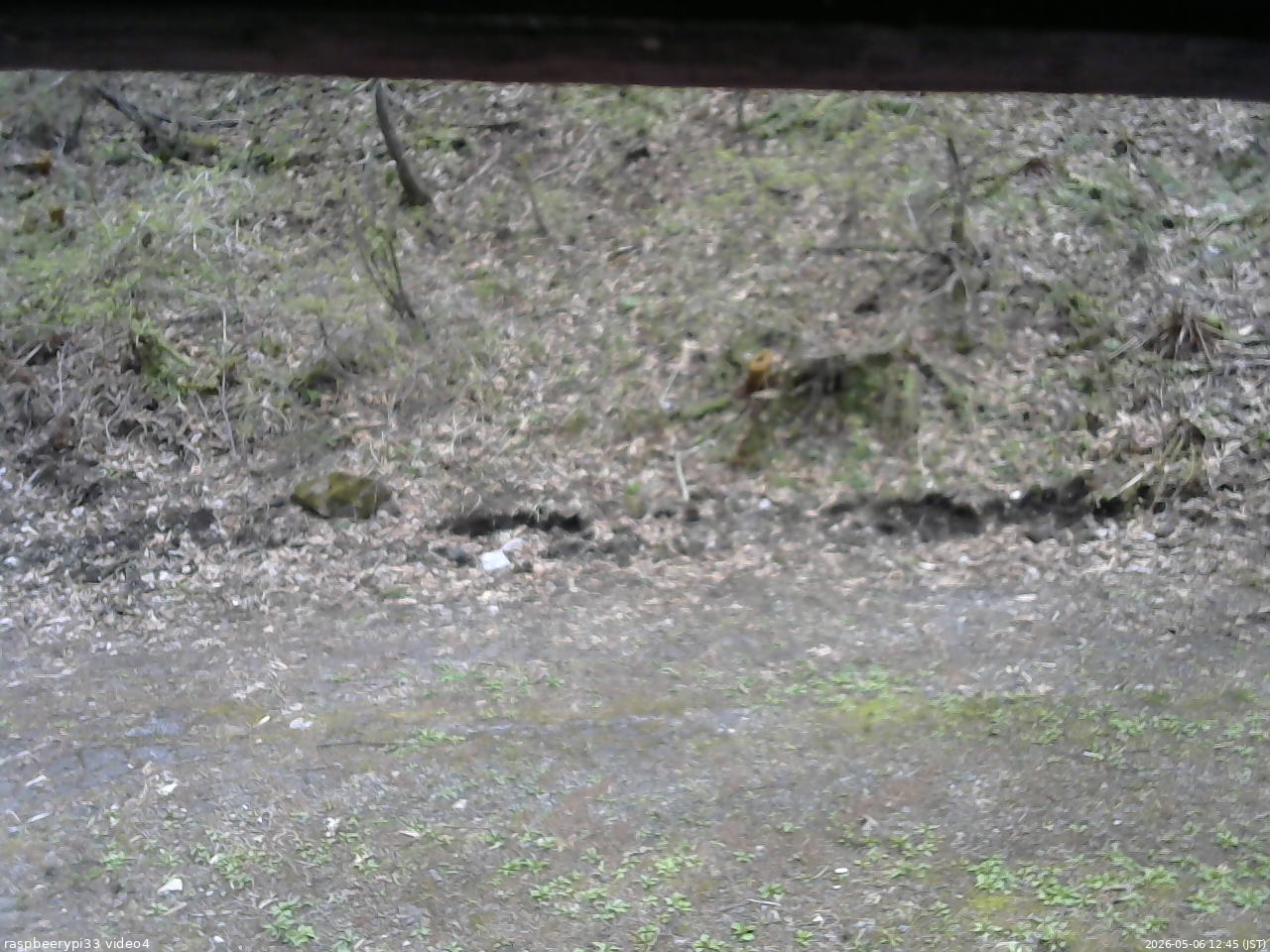長野県菅平高原 ゆたか山荘 東側(坂下) 2026/05/06 12:45