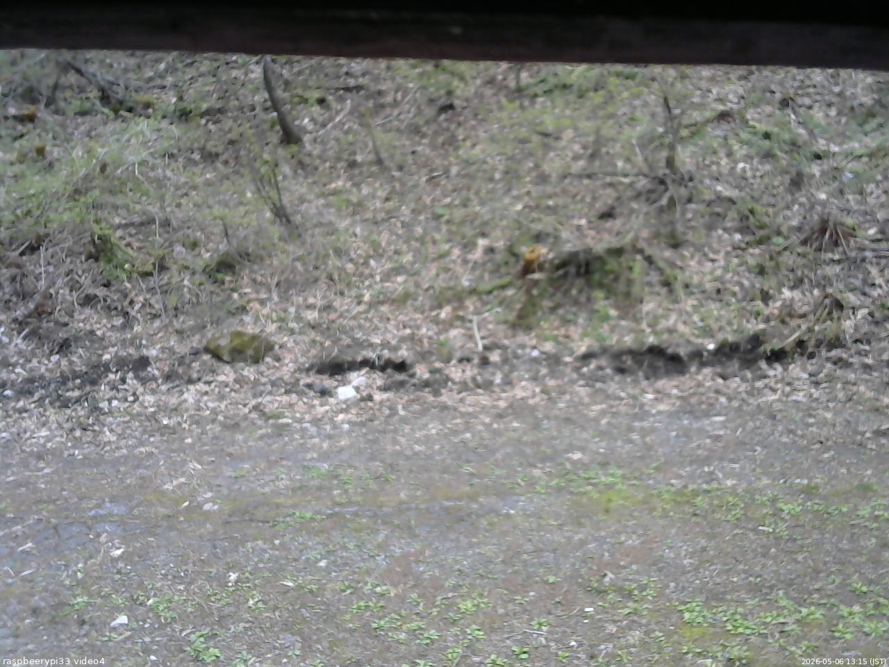 長野県菅平高原 ゆたか山荘 東側(坂下) 2026/05/06 13:15