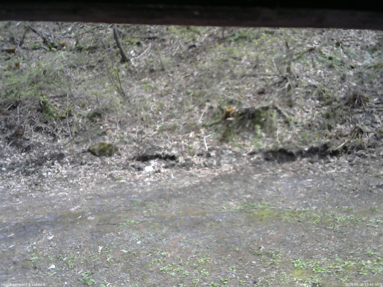 長野県菅平高原 ゆたか山荘 東側(坂下) 2026/05/06 13:45