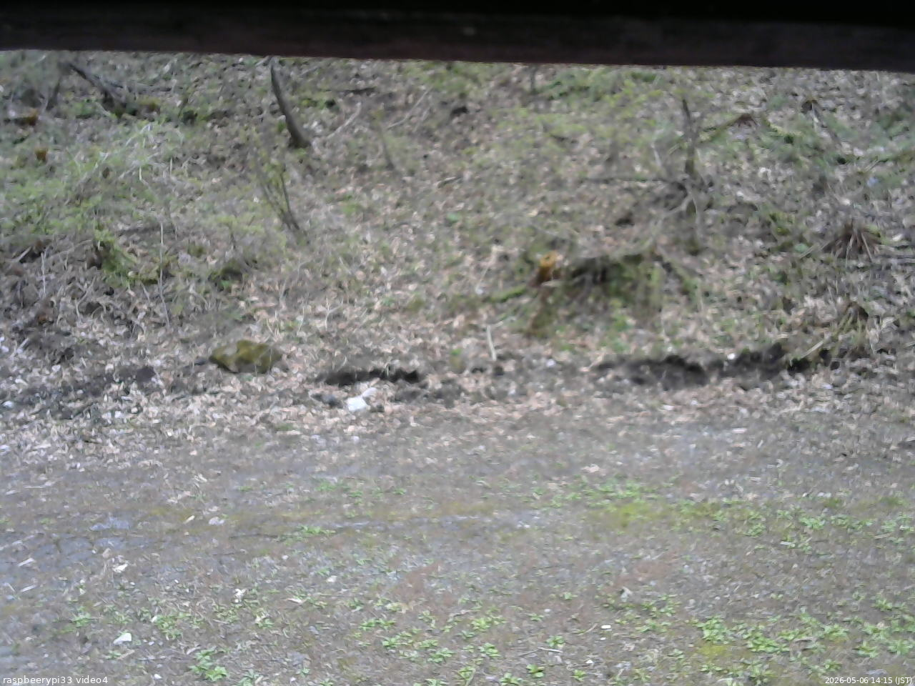 長野県菅平高原 ゆたか山荘 東側(坂下) 2026/05/06 14:15