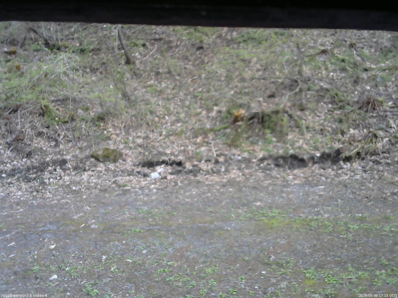長野県菅平高原 ゆたか山荘 東側(坂下) 2026/05/06 17:15