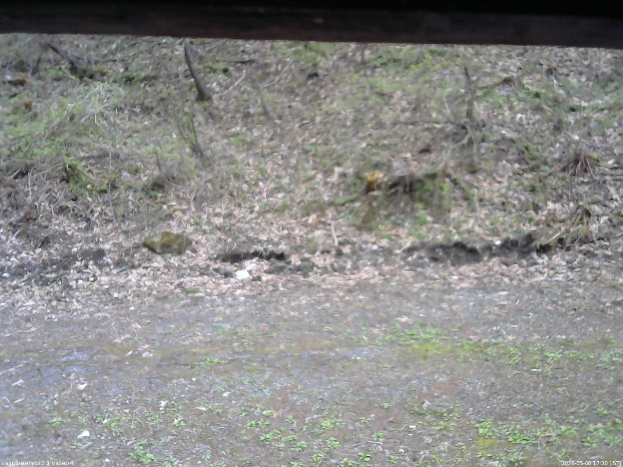 長野県菅平高原 ゆたか山荘 東側(坂下) 2026/05/06 17:30