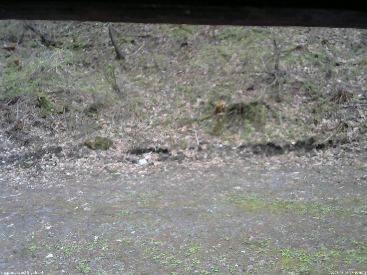 長野県菅平高原 ゆたか山荘 東側(坂下) 2026/05/06 17:45
