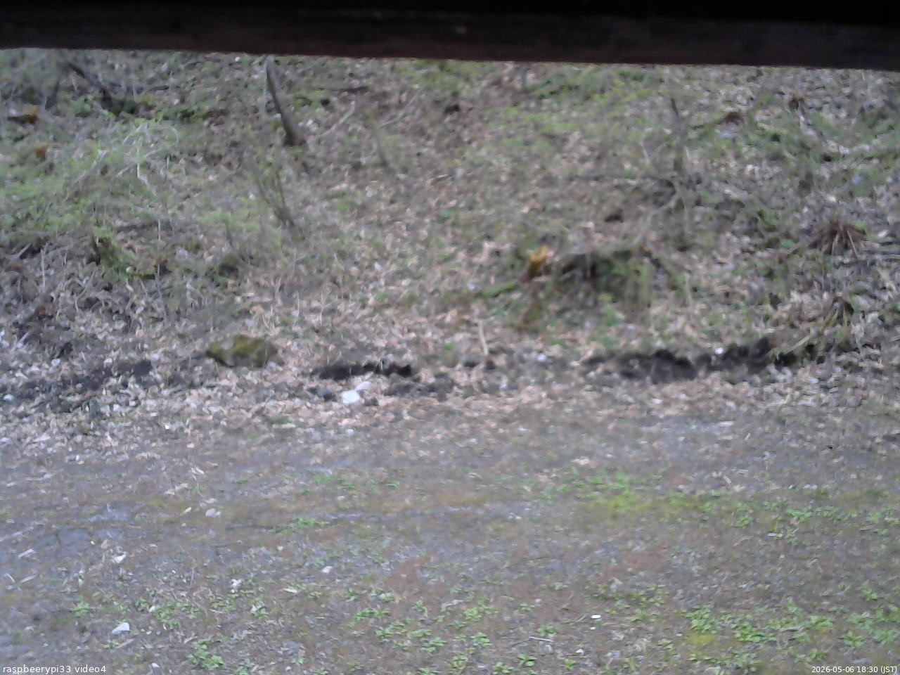 長野県菅平高原 ゆたか山荘 東側(坂下) 2026/05/06 18:30
