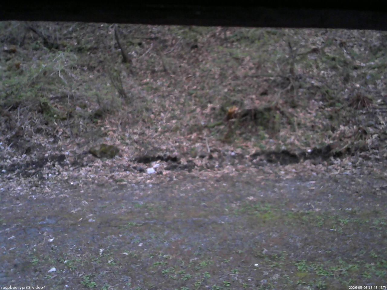 長野県菅平高原 ゆたか山荘 東側(坂下) 2026/05/06 18:45
