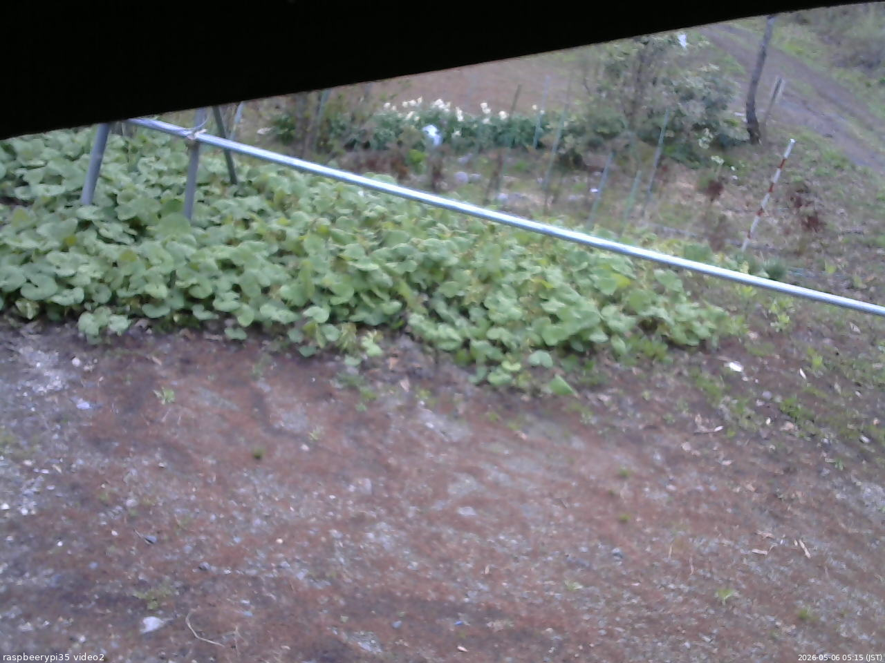 長野県菅平高原 ゆたか山荘 駐車場 2026/05/06 05:15