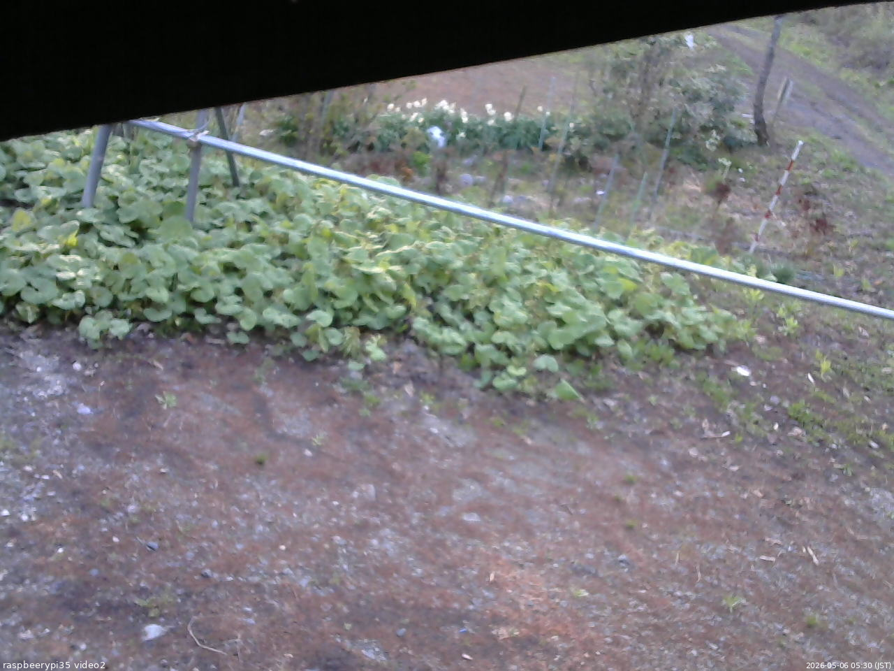 長野県菅平高原 ゆたか山荘 駐車場 2026/05/06 05:30